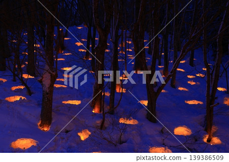 Snow lights on a snowy night Snow lights on a snowy night 139386509