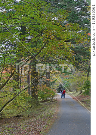 Two footprints walking through autumn; a moment of strolling through a tunnel of trees beginning to change color. Two footprints walking through autumn; a moment of strolling through a tunnel of trees beginning to change color. 139386561