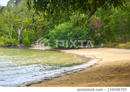 Tropical beach with calm water and lush green jungle Tropical beach with calm water and lush green jungle 139386795