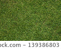 Green grass texture creating a natural lawn background 139386803