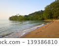 Tropical sandy beach with lush green forest coastline 139386810