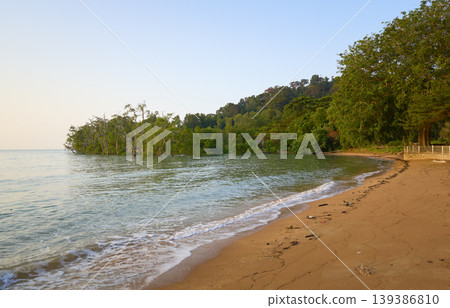 Tropical sandy beach with lush green forest coastline Tropical sandy beach with lush green forest coastline 139386810