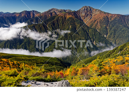 Autumn foliage in the Southern Alps: Shiramine Sanzan as seen from Houou Sanzan and Yakushidake. Autumn foliage in the Southern Alps: Shiramine Sanzan as seen from Houou Sanzan and Yakushidake. 139387247
