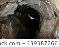 Lesser horseshoe bats flying through a cave 139387266