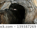 Lesser horseshoe bats flying through a cave 139387269