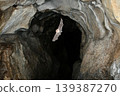 Lesser horseshoe bats flying through a cave 139387270