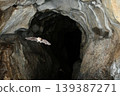 Lesser horseshoe bats flying through a cave 139387271