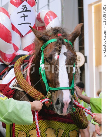 Impressive decorated horses at the Fujisaki Shrine Grand Festival in Kumamoto Impressive decorated horses at the Fujisaki Shrine Grand Festival in Kumamoto 139387308