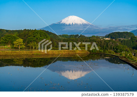 Mount Fuji reflected in the rice fields of Takeshita, Oyama Town 139387579