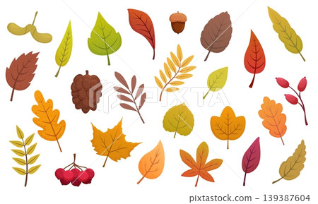 Cartoon autumn tree elements. Fall nature, leaf, acorn, pine cone, bunch of red berries. Foliage, falling leaves oak, maple, birch, sapid vector clipart Cartoon autumn tree elements. Fall nature, leaf, acorn, pine cone, bunch of red berries. Foliage, falling leaves oak, maple, birch, sapid vector clipart 139387604