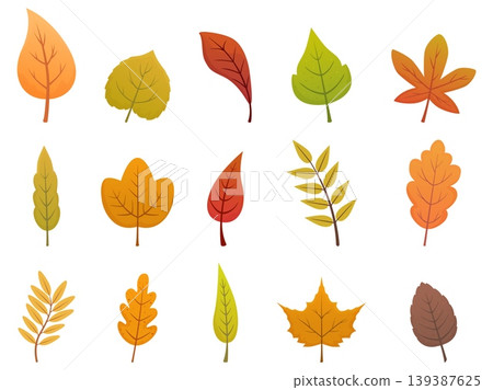 Cartoon fall leaves. Colorful leaf of maple, oak, birch. Different seasonal nature elements, autumn tree foliage. Isolated flat botanical sapid vector clipart Cartoon fall leaves. Colorful leaf of maple, oak, birch. Different seasonal nature elements, autumn tree foliage. Isolated flat botanical sapid vector clipart 139387625