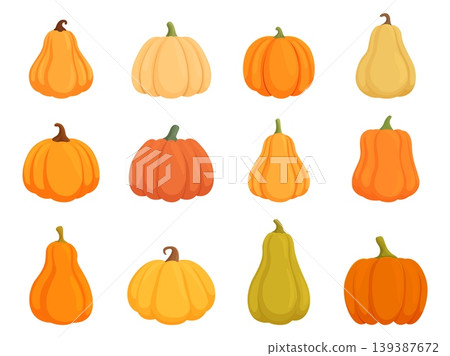 Cartoon isolated pumpkins. Harvest pumpkin, healthy vegan food. Agriculture elements, autumn farm market products. Seasonal sapid vector clipart 139387672