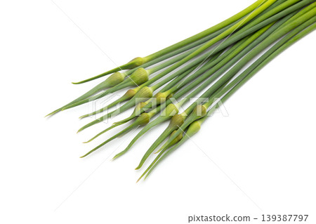 Garlic sprouts (domestically produced) 139387797