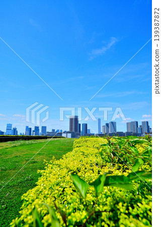 The cityscape of Harumi as seen from the rooftop green space of Toyosu Market. The cityscape of Harumi as seen from the rooftop green space of Toyosu Market. 139387872