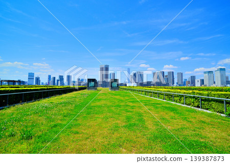 從豐洲市場屋頂綠地眺望春海的城市景觀。 從豐洲市場屋頂綠地眺望春海的城市景觀。 139387873