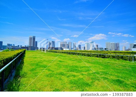 The cityscape of Harumi as seen from the rooftop green space of Toyosu Market. The cityscape of Harumi as seen from the rooftop green space of Toyosu Market. 139387883
