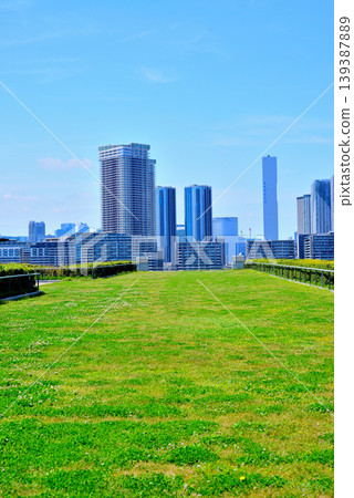 從豐洲市場屋頂綠地眺望春海的城市景觀。 從豐洲市場屋頂綠地眺望春海的城市景觀。 139387889