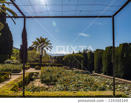 Formal Mediterranean Garden With Palm Trees, Box Hedges and Snow-Capped Sierra Nevada Mountains Under Blue Sky 139388169