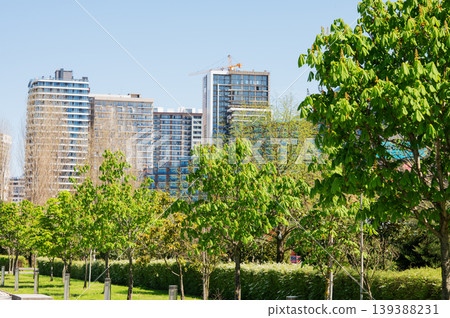 A green city park with trees and modern residential buildings in the background. A green city park with trees and modern residential buildings in the background. 139388231