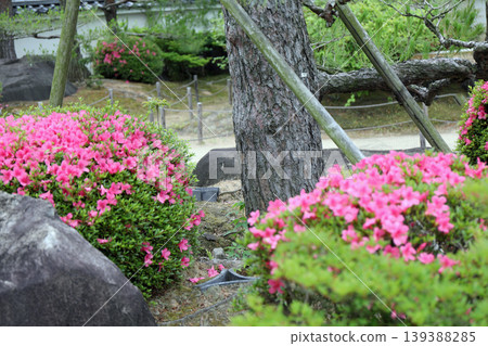 春天樂園園林風光 春天樂園園林風光 139388285