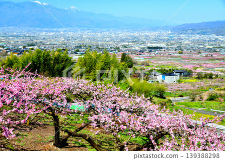 View from Fuefuki City towards Kofu City (Kofu City, Yamanashi Prefecture) [2026.4] 139388298