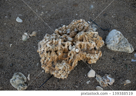 Small Coral Rock on Sandy Beach at Pantai Sawarna 139388519