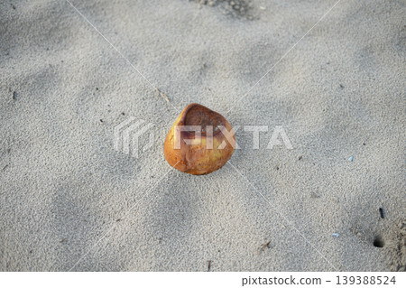 Weathered Brown Coconut Lying on Sandy Beach Weathered Brown Coconut Lying on Sandy Beach 139388524