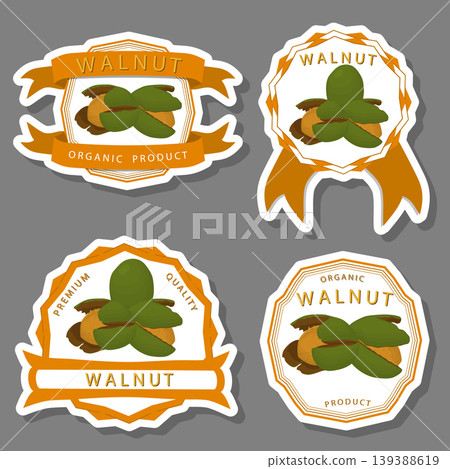 Illustration on theme big set different types walnut in nutshell 139388619