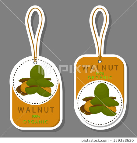 Illustration on theme big set different types walnut in nutshell 139388620