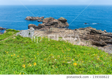 "Aomori Prefecture" Flowers bloom on the shore in early summer at Tanesashi Coast, Hachinohe City 139388622