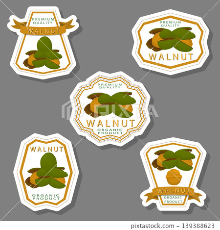 Illustration on theme big set different types walnut in nutshell Illustration on theme big set different types walnut in nutshell 139388623