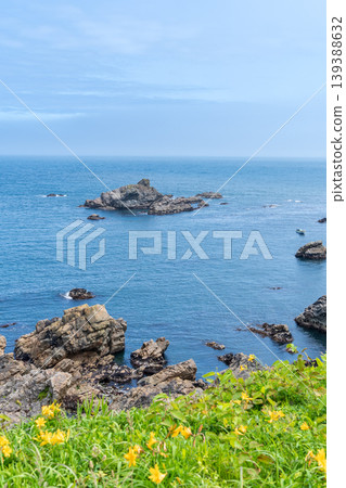 青森縣八戶市種差海岸初夏鮮花盛開 青森縣八戶市種差海岸初夏鮮花盛開 139388632