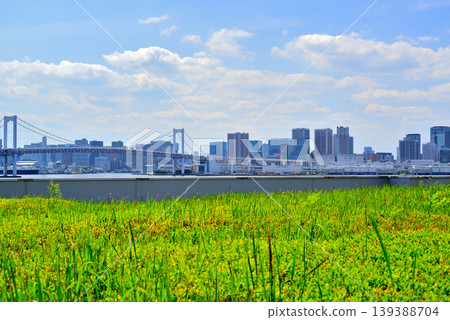 Harumi Wharf and Rainbow Bridge as seen from the rooftop green space of Toyosu Market. Harumi Wharf and Rainbow Bridge as seen from the rooftop green space of Toyosu Market. 139388704