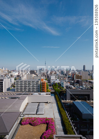 透過盛開的花朵，可以欣賞到令人驚嘆的城市和東京晴空塔景色：從屋頂看到的春日美景。 139388926