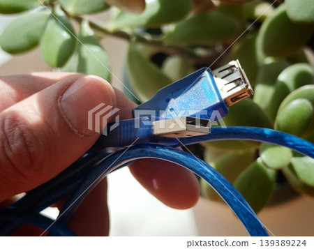 Hand holding a blue USB cable with a standard USB connector and a USB Type-A connector against a blurred background of green plant leaves Hand holding a blue USB cable with a standard USB connector and a USB Type-A connector against a blurred background of green plant leaves 139389224