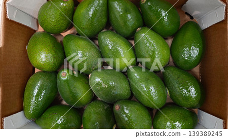 Fresh green avocados arranged in a cardboard box, showcasing their smooth skin and vibrant color, ready for sale or distribution in a grocery setting Fresh green avocados arranged in a cardboard box, showcasing their smooth skin and vibrant color, ready for sale or distribution in a grocery setting 139389245
