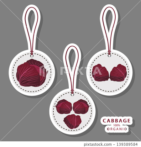 Sweet juicy tasty natural eco product cabbage Sweet juicy tasty natural eco product cabbage 139389584