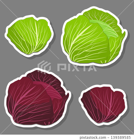 Sweet juicy tasty natural eco product cabbage Sweet juicy tasty natural eco product cabbage 139389585