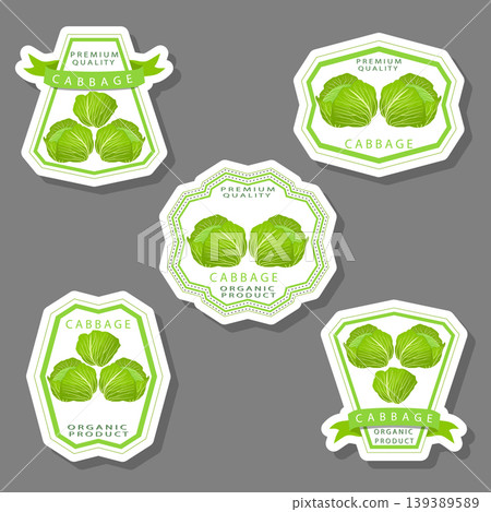 Sweet juicy tasty natural eco product cabbage Sweet juicy tasty natural eco product cabbage 139389589