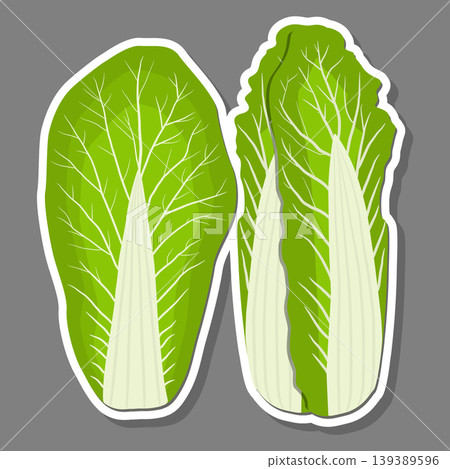 Sweet juicy tasty natural eco product cabbage 139389596