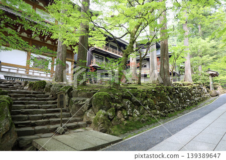 永平寺內的春日景色 139389647