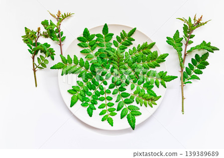 Fresh sansho leaves Fresh sansho leaves 139389689