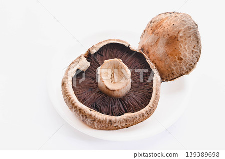 厚實的大型棕色蘑菇 139389698