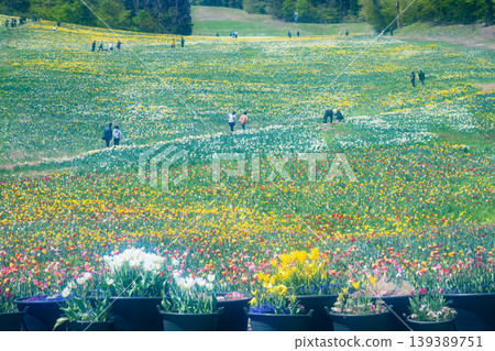 諾倫水上花園 諾倫水上花園 139389751