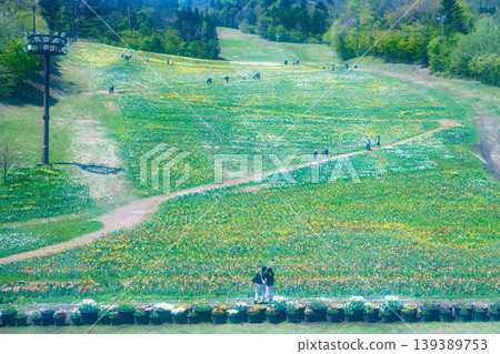 諾倫水上花園 諾倫水上花園 139389753