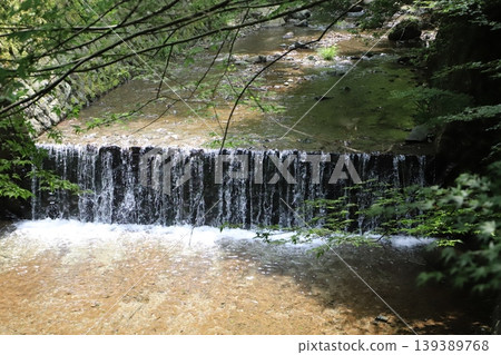 Shasui Falls (Yamashita Town, Ashigarakami District, Kanagawa Prefecture) - Deep green foliage and the flow of the Takizawa River 139389768