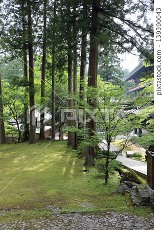 永平寺內的春日景色 139390043