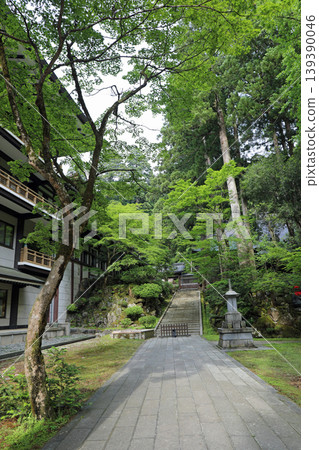 Springtime scenery within the grounds of Eiheiji Temple Springtime scenery within the grounds of Eiheiji Temple 139390046
