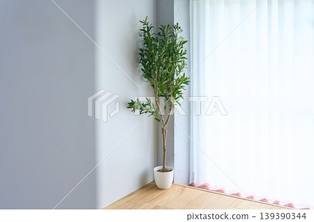 A room with houseplants by the window A room with houseplants by the window 139390344