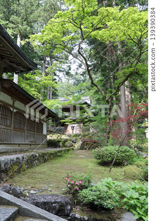 Springtime scenery within the grounds of Eiheiji Temple Springtime scenery within the grounds of Eiheiji Temple 139390384